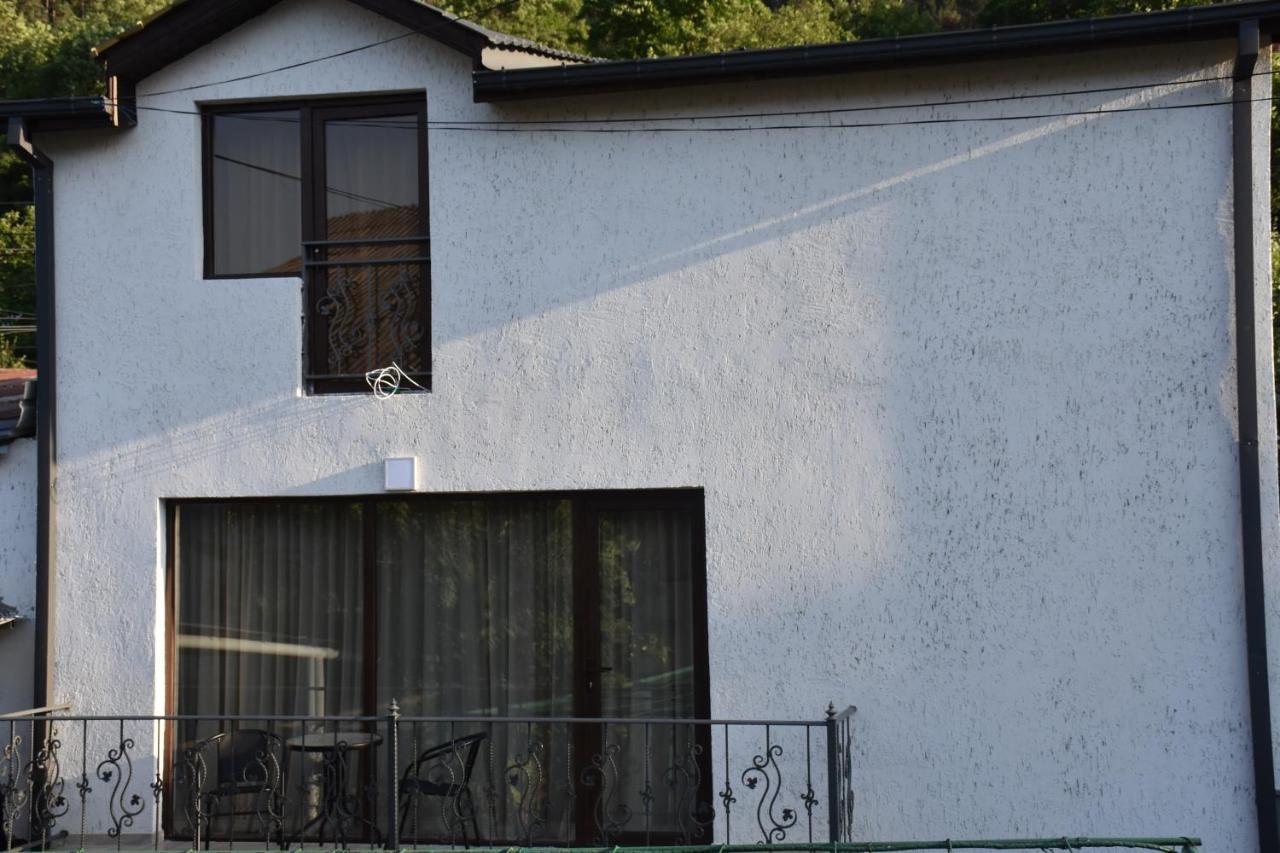 Vila Eleana Bordžomi Exteriér fotografie